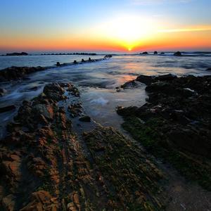 日韩黄色一级片
